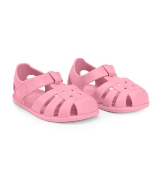 Cangrejeras Infantil Whale Pink