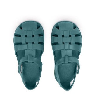 Cangrejeras Infantil Whale Teal