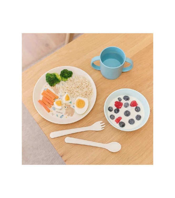 Vajilla infantil meal set dreamland