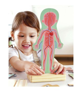 Rompecabezas magnético del cuerpo humano
