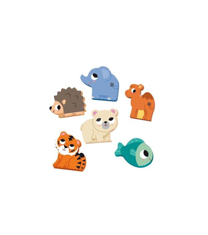 6 habitat puzzle