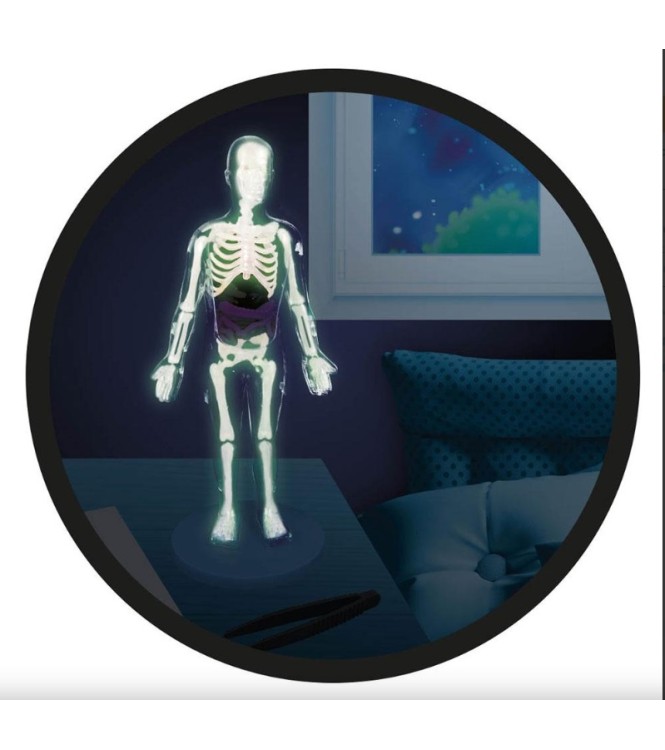 El cuerpo humano Buki