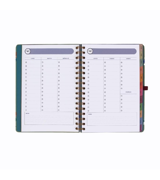 Agenda Semanal 2027 Ent Rutinas y Tareas