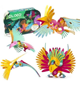 Tropical Bird