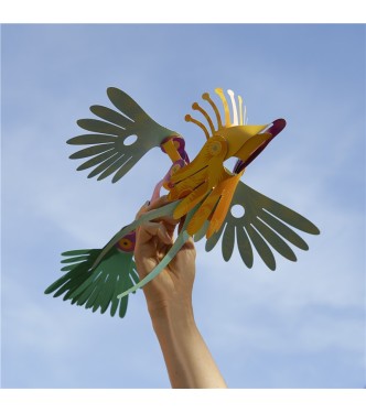 Tropical Bird