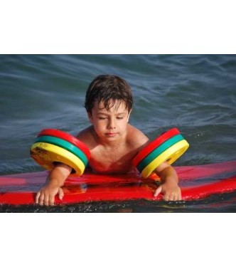 Maguitos Delphin
