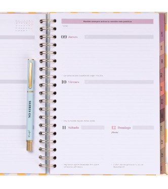 Pack agenda 25-26 - No stress
