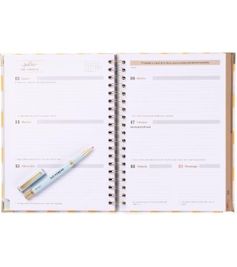 Pack agenda 25-26 - No stress