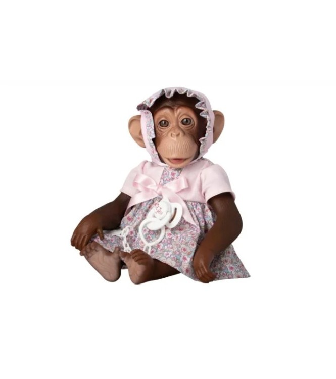 LOLA LA CHIMPANCÉ FLORES ROSA LAZO ROS
