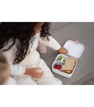 CAJA BENTO CAMPUS GRANDE FAIRY WONDERS
