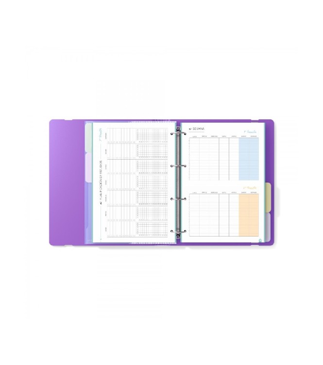 Carpeblock 360 morado