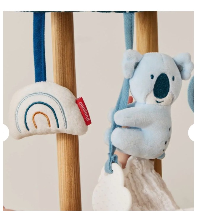 Actividades sensoriales Koala