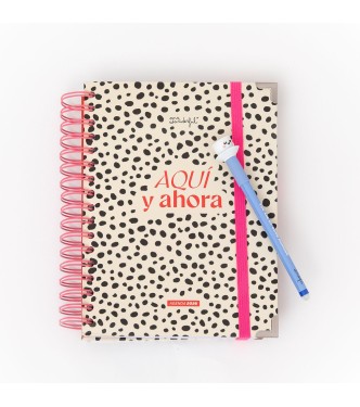 Agenda 2026 Aquí y ahora - Diaria