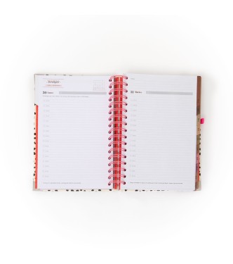 Agenda 2026 Aquí y ahora - Diaria