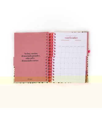 Agenda 2026 Aquí y ahora - Diaria