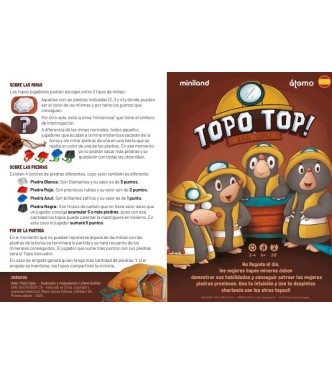 Topo Top
