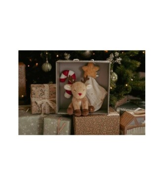 Caja Regalo Navidad Recién Nacido