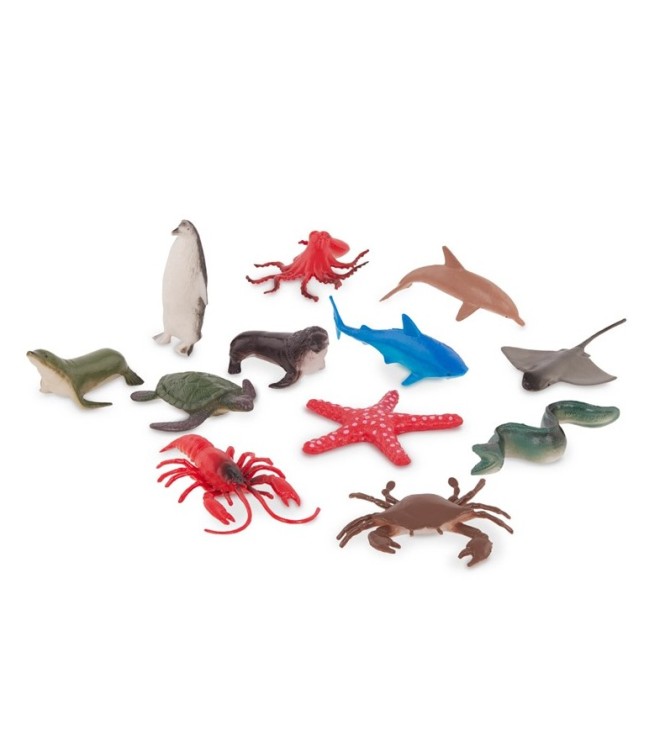 Terra Bote de 60 animales marinos
