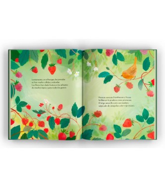 Libro ilustrado - Verano