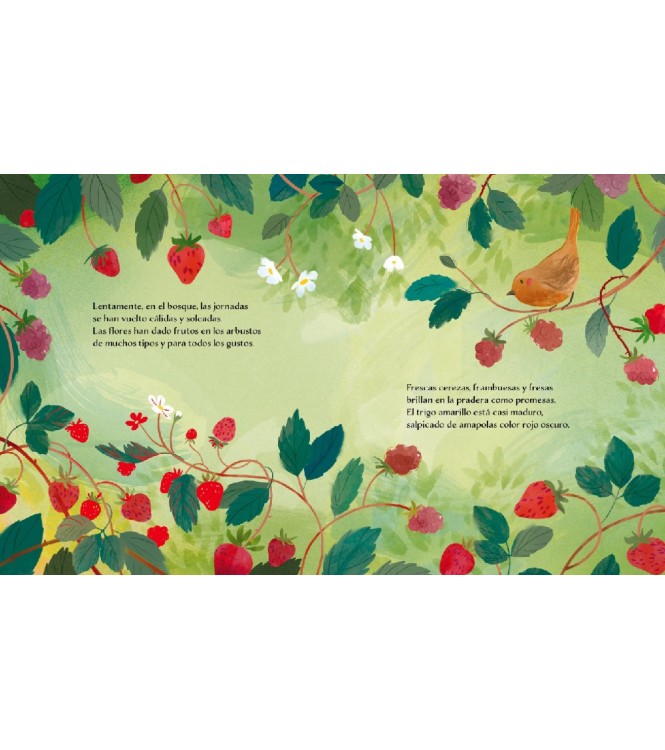 Libro ilustrado - Verano