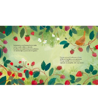 Libro ilustrado - Verano