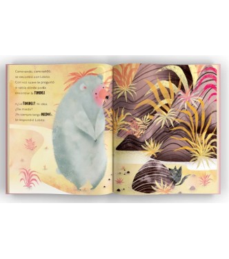 Libros ilustrados - El oso tímido