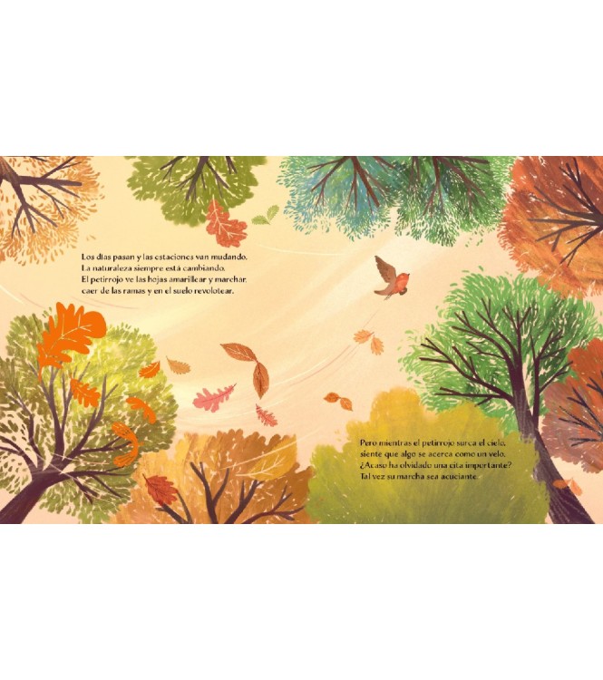 Libro ilustrado - Otoño