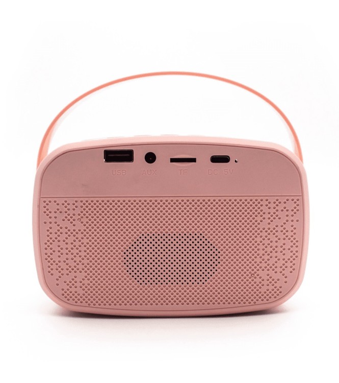 Karaoke con luz y 2 micrófonos  ROSA