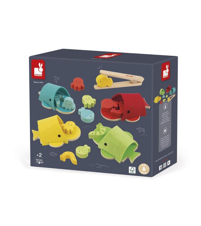 Clasificación de colores Ballenas