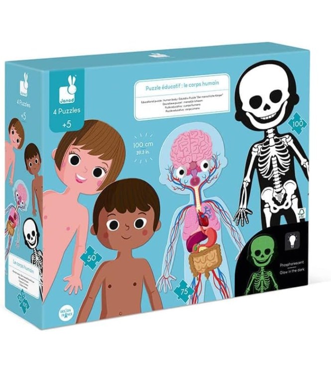 Puzzle cuerpo humano