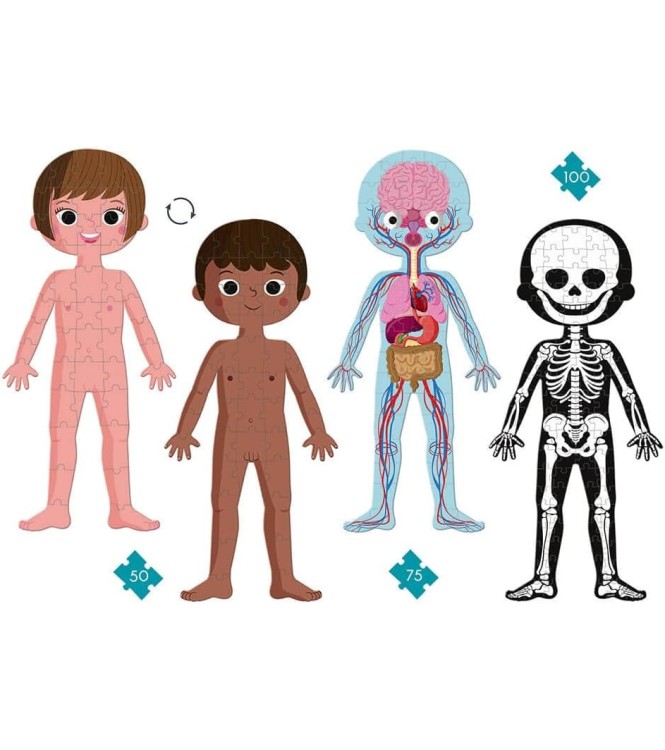 Puzzle cuerpo humano