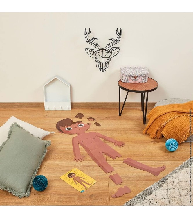 Puzzle cuerpo humano