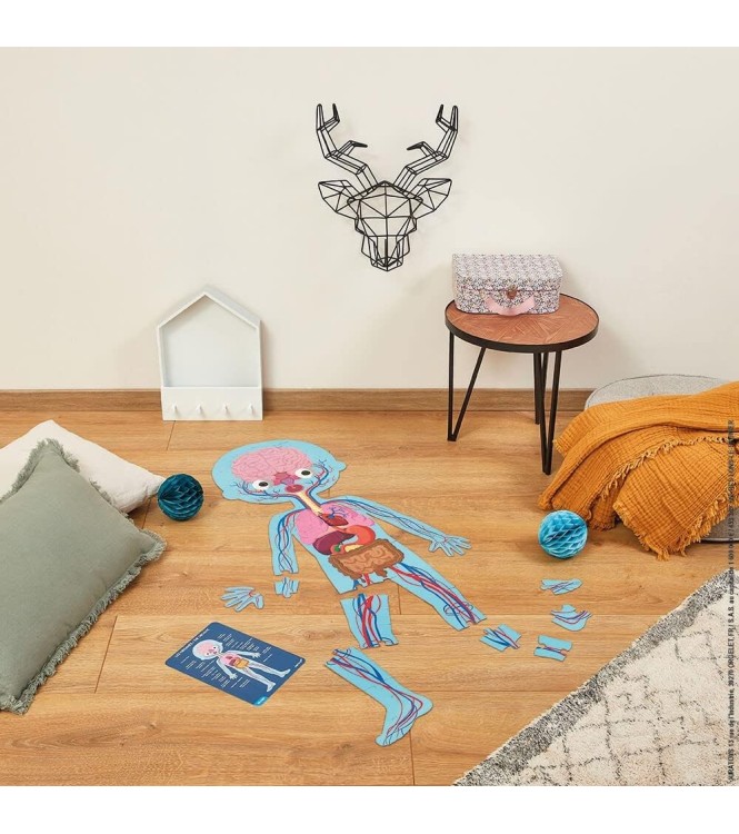 Puzzle cuerpo humano