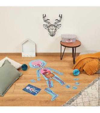 Puzzle cuerpo humano